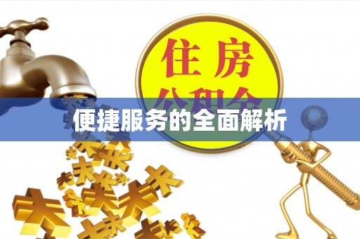丽水便捷服务的全面解析