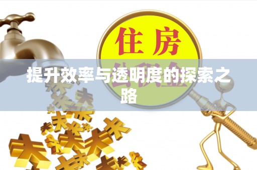 丽水提升效率与透明度的探索之路