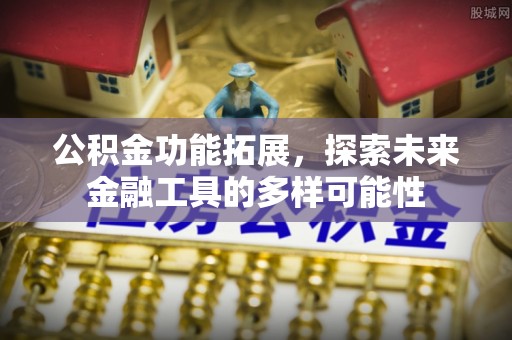 丽水公积金功能拓展，探索未来金融工具的多样可能性