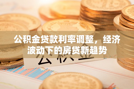 丽水公积金贷款利率调整，经济波动下的房贷新趋势