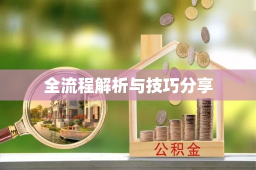 丽水全流程解析与技巧分享